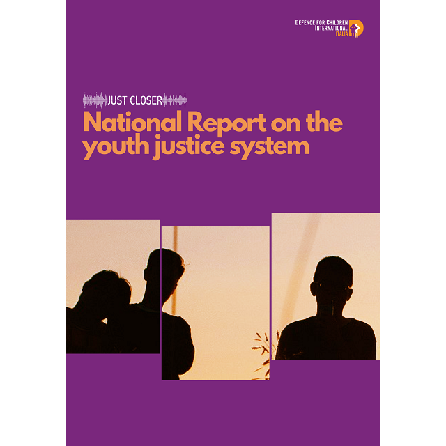 National Reports on the youth justice system